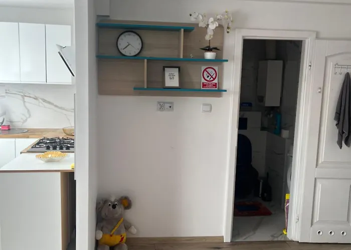 Apartament Centrum Okulickiego !