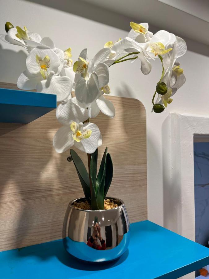 Centrum Okulickiego ! Apartment Stalowa Wola